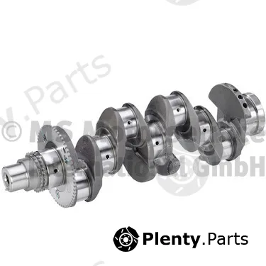 BF 20051404811 — Crankshaft