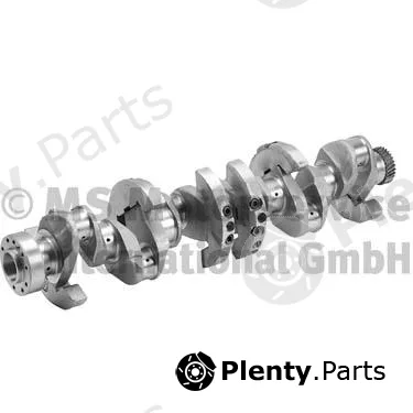 BF 20050591300 — Crankshaft