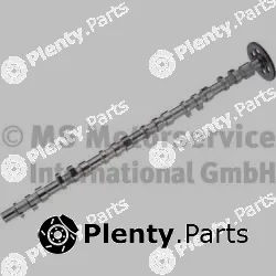 BF 20100347102 — Camshaft