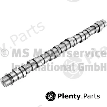 BF 20100413009 — Camshaft