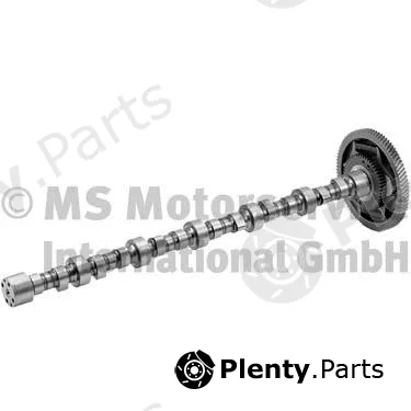 BF 20100225660 — Camshaft