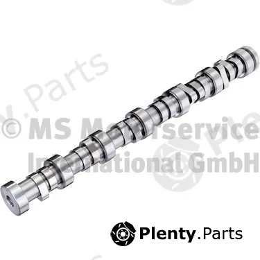 BF 20100913003 — Camshaft