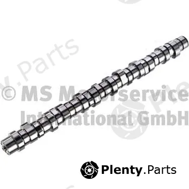 BF 20100413006 — Camshaft