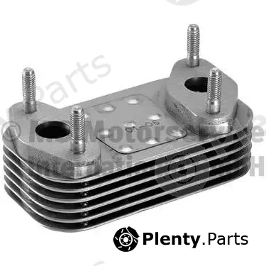 BF 20190335500 — Oil Cooler, engine oil