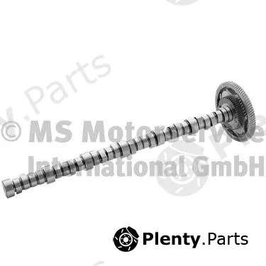 BF 20100344400 — Camshaft