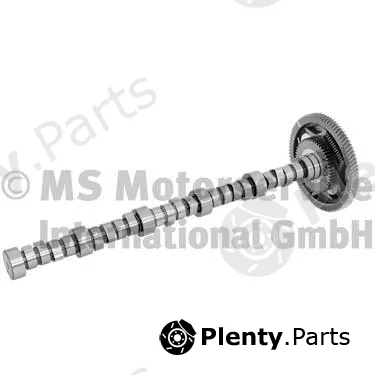 BF 20100340300 — Camshaft
