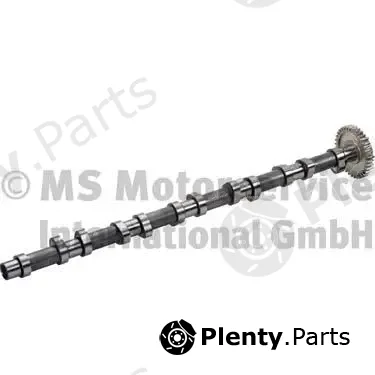 BF 20100220661 — Camshaft