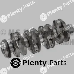 BF 20050365101 — Crankshaft