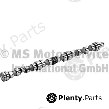 BF 20100336600 — Camshaft