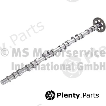 BF 20100347300 — Camshaft
