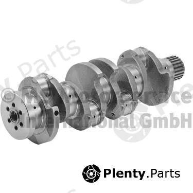 BF 20051481404 — Crankshaft
