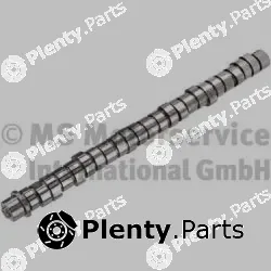 BF 20100412008 — Camshaft
