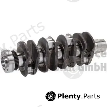 BF 20050520120 — Crankshaft