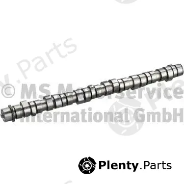 BF 20100413000 — Camshaft