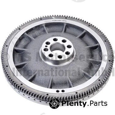 BF 20090393601 — Flywheel