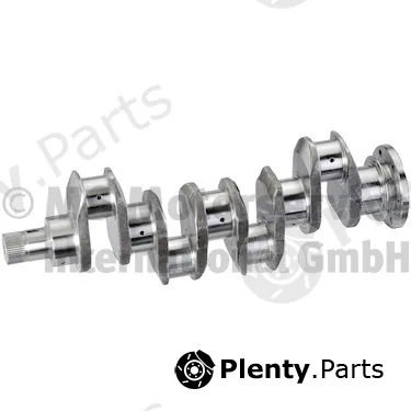 BF 20051942365 — Crankshaft