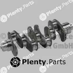 BF 20050393400 — Crankshaft