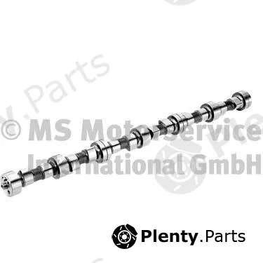 BF 20100208360 — Camshaft