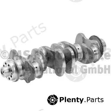 BF 20050390401 — Crankshaft