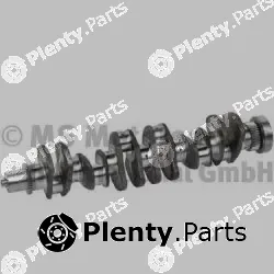 BF 20051406810 — Crankshaft