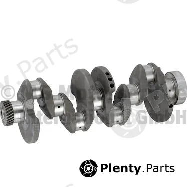 BF 20050591244 — Crankshaft
