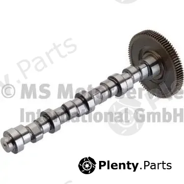 BF 20100520124 — Camshaft