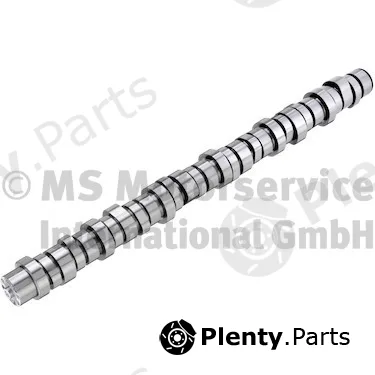 BF 20100413011 — Camshaft