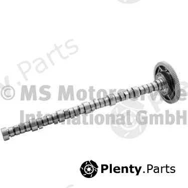 BF 20100342400 — Camshaft