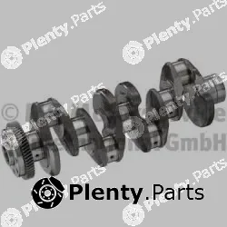 BF 20050365100 — Crankshaft