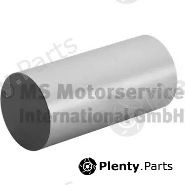 BF 20100335260 — Tappet