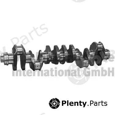 BF 20050228760 — Crankshaft