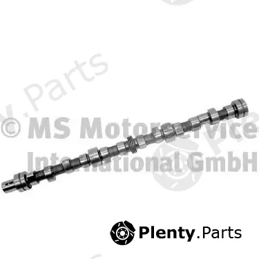 BF 20100335201 — Camshaft
