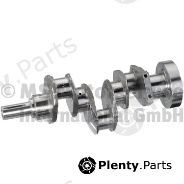 BF 20051931524 — Crankshaft