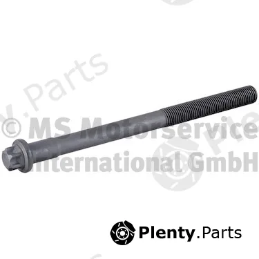 BF 20080226769 — Cylinder Head Bolt