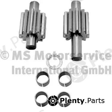 BF 20140412299 — Gear Set, oil pump