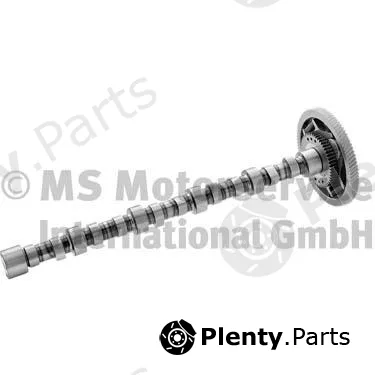 BF 20100228650 — Camshaft