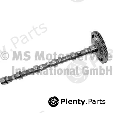 BF 20100228652 — Camshaft