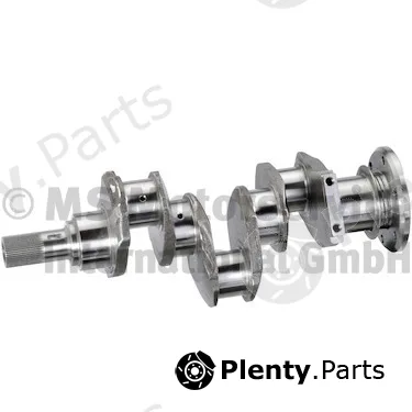 BF 20051931522 — Crankshaft