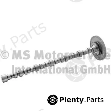 BF 20100228761 — Camshaft