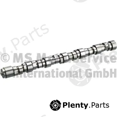 BF 20101419000 — Camshaft