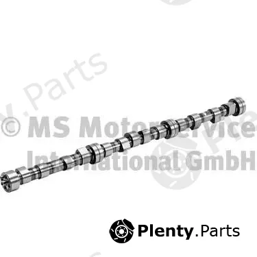 BF 20100208260 — Camshaft