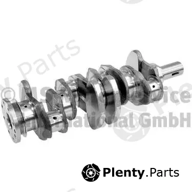 BF 20050331400 — Crankshaft