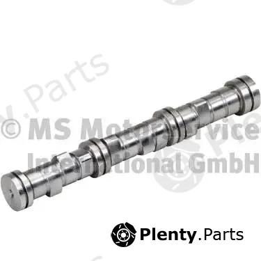 BF 20100510156 — Camshaft