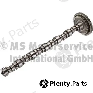 BF 20100345704 — Camshaft