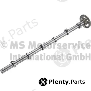 BF 20100393600 — Camshaft