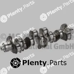 BF 20050393600 — Crankshaft