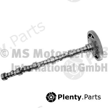 BF 20100228400 — Camshaft