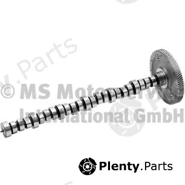 BF 20100390600 — Camshaft