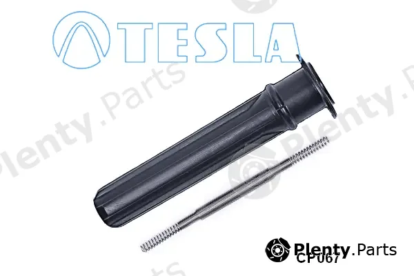 Tesla CP067 — Plug, spark plug