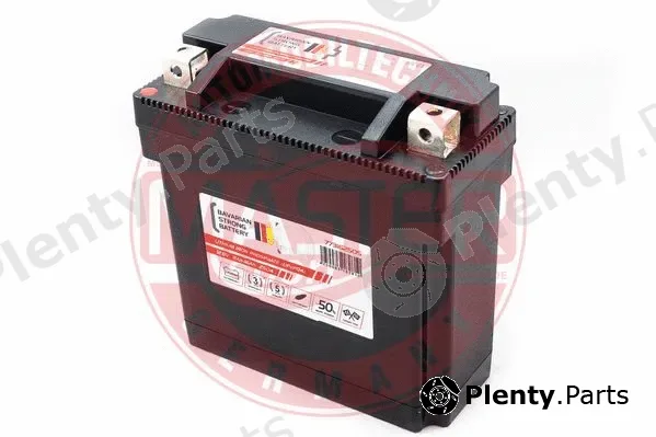 Master-Sport Germany 773162505 — Starter Battery